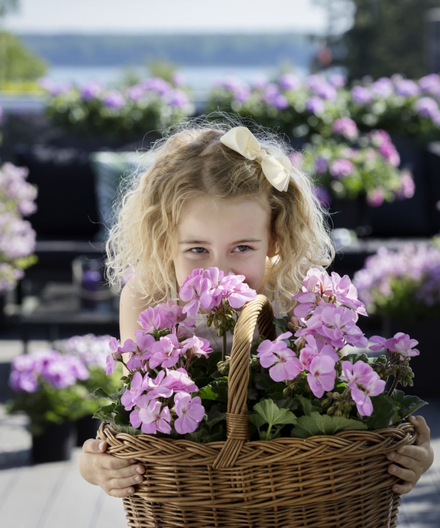 2019-geraniums-500-mothers-day-gift-002