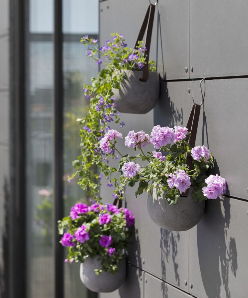 Pelargonie w towarzystwie innych roślin w szarych wiszących donicach na tle ciemnej fasady to stylowy pomysł na balkon.
